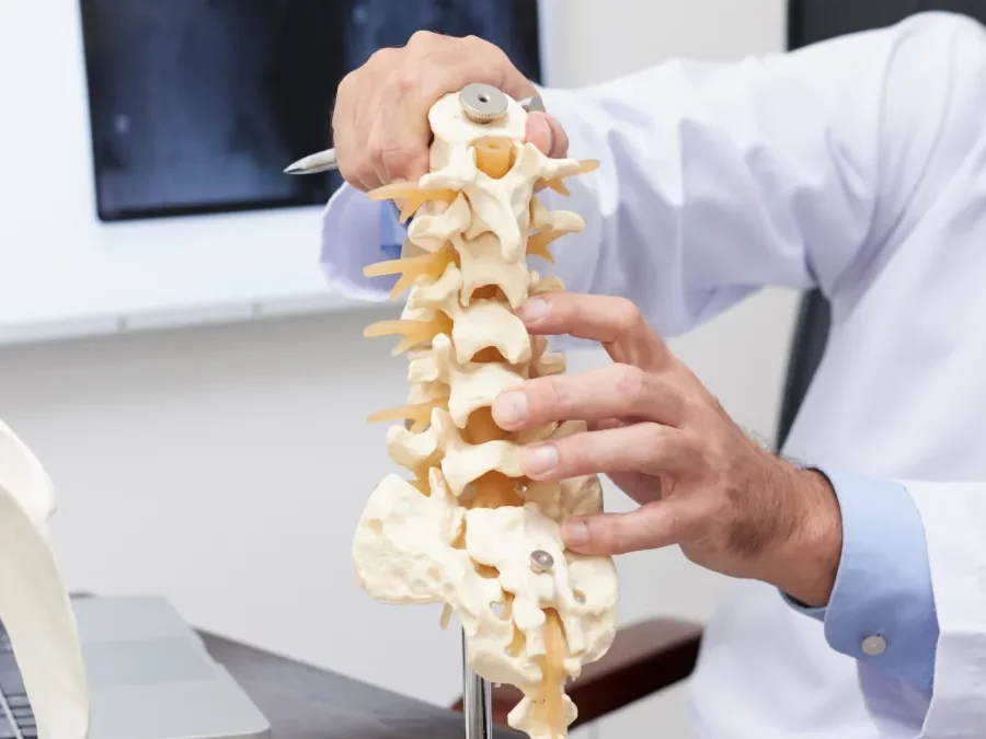 What Do Chiropractors Do? – Unveiling the Benefits